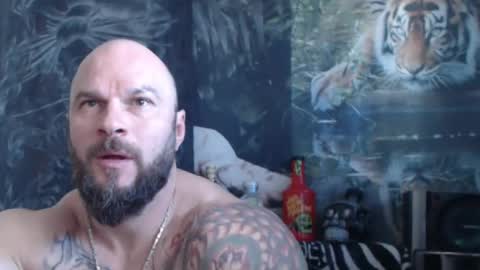 Snapshot of viking_me chatting on April 23, 2026, 6:58 am viking online show from April 23, 2026, 6:58 am