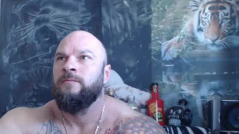 Snapshot of viking_me chatting on April 26, 2026, 6:33 am viking online show from April 26, 2026, 6:33 am