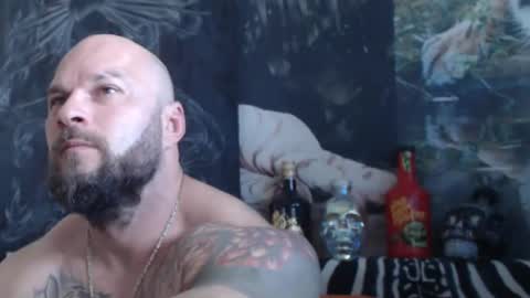 Snapshot of viking_me chatting on May 6, 2026, 5:57 am viking online show from May 6, 2026, 5:57 am