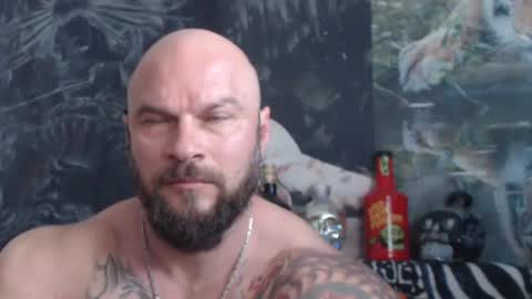 Snapshot of viking_me chatting on May 21, 2026, 6:53 am viking online show from May 21, 2026, 6:53 am