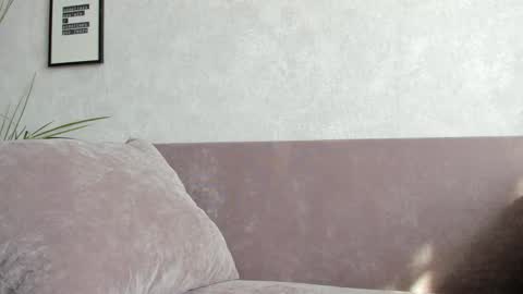 Vincent.  uncut 18cm online show from September 10, 2025, 11:32 am