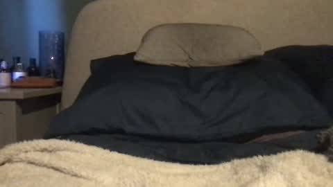 Snapshot of vinny440 chatting on March 3, 2025, 11:00 am Vinny online show from March 3, 2025, 11:00 am