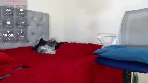 vinzent_lafed_ online show from October 5, 2025, 7:39 am