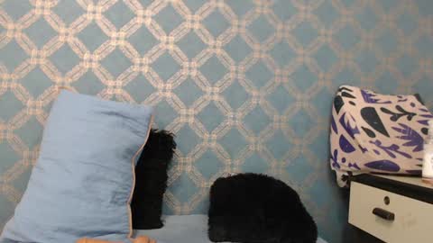 Violeta  online show from December 18, 2024, 1:15 am