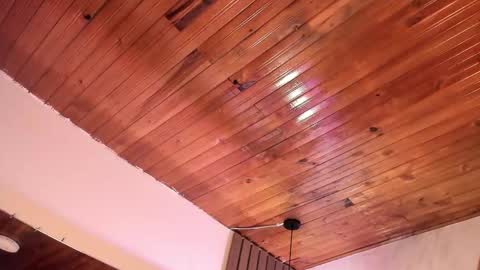 Violet online show from March 28, 2026, 2:11 am