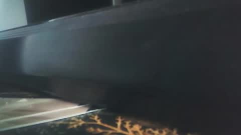 Snapshot of vip_90_daniele chatting on December 17, 2025, 10:54 am vip_90_daniele online show from December 17, 2025, 10:54 am