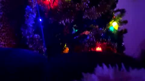 Vivi online show from January 11, 2026, 11:43 pm