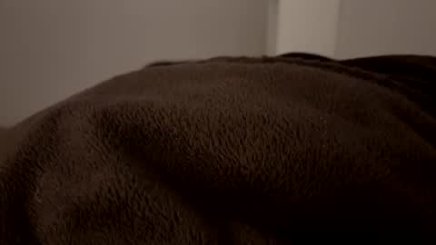 John online show from December 2, 2024, 2:53 am