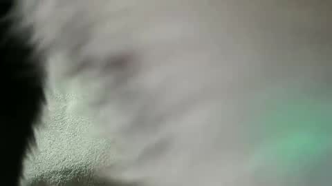 Daniel online show from February 28, 2025, 7:56 pm