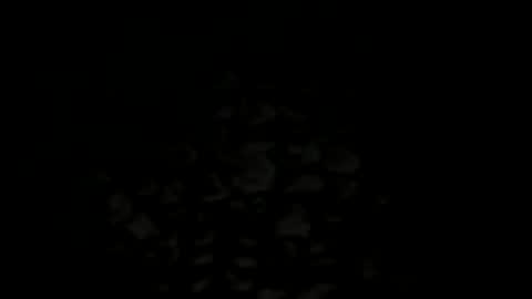 w2456 online show from November 25, 2025, 11:38 pm