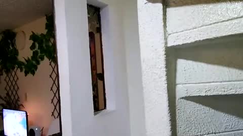 Snapshot of waningrosee chatting on January 4, 2025, 2:25 am Waningrose Lu online show from January 4, 2025, 2:25 am