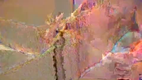 Snapshot of want2cum4gal chatting on December 29, 2024, 10:47 pm want2cum4gal online show from December 29, 2024, 10:47 pm