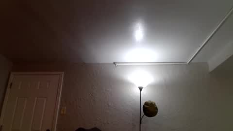 wantstoperform online show from November 23, 2025, 12:16 pm