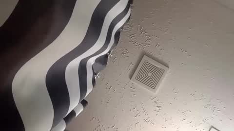 wanttowatch87 online show from December 25, 2024, 5:58 am