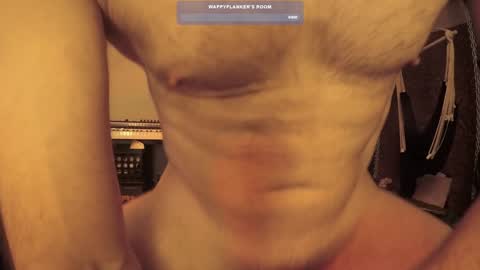 wappyflanker online show from December 11, 2024, 2:54 pm