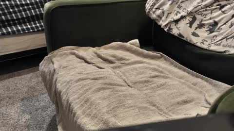 Daddy online show from January 3, 2025, 9:57 pm