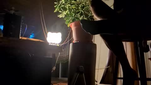 watershed111111 online show from January 12, 2026, 9:03 am