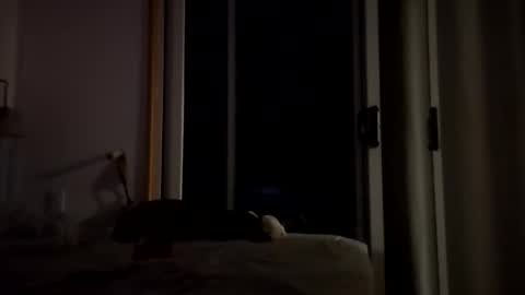 watershed111111 online show from January 14, 2026, 3:56 am