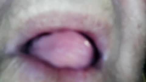 wayne1311 online show from January 13, 2026, 2:22 pm