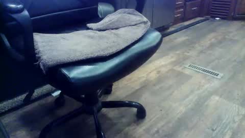 wayne1311 online show from February 3, 2026, 6:46 pm