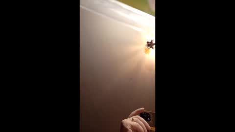 Snapshot of webiran chatting on March 2, 2026, 4:58 am webiran online show from March 2, 2026, 4:58 am