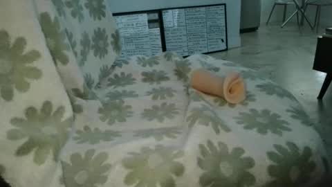 Snapshot of werethesmiths chatting on April 11, 2026, 10:03 pm Frank and Barbie online show from April 11, 2026, 10:03 pm