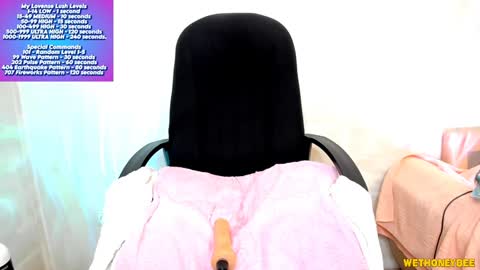 Snapshot of wethoneybee chatting on February 5, 2025, 1:47 am Mina online show from February 5, 2025, 1:47 am