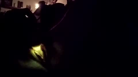 Snapshot of wetpixiepuss chatting on October 27, 2025, 7:12 am wetpixiepuss online show from October 27, 2025, 7:12 am