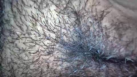 white_sexy_ online show from November 20, 2025, 10:15 am