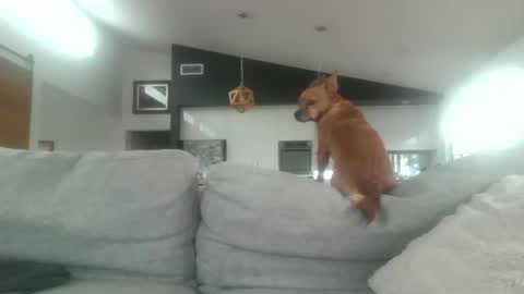 Snapshot of whitepantieman chatting on January 28, 2025, 10:12 pm whitepantieman online show from January 28, 2025, 10:12 pm