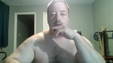 white wolf   jeremy online show from February 15, 2025, 11:28 am