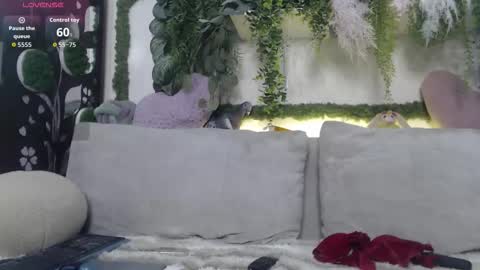 wiagra online show from November 12, 2025, 8:48 am