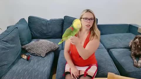 WifeNheels online show from May 24, 2026, 6:46 pm