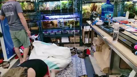 WifeNheels online show from June 7, 2026, 9:18 pm