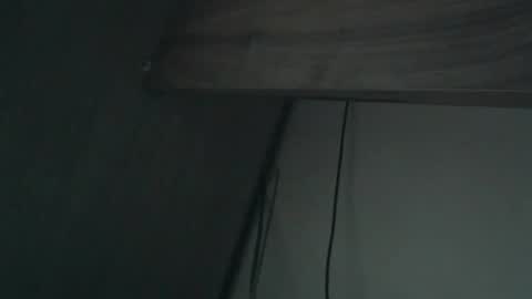 wildbrdick online show from April 16, 2026, 2:12 am