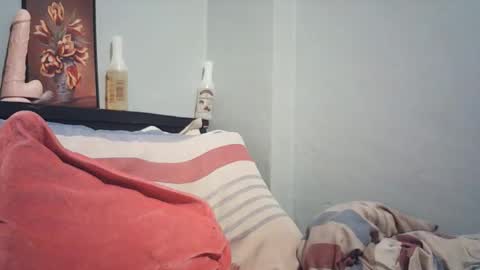 Snapshot of wildfiery chatting on February 19, 2026, 4:08 am wildfiery online show from February 19, 2026, 4:08 am