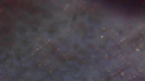 Snapshot of wildflower206042 chatting on May 20, 2026, 7:47 am xxLavanderxx online show from May 20, 2026, 7:47 am