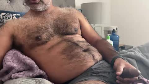 wildhungry online show from January 3, 2025, 7:29 pm