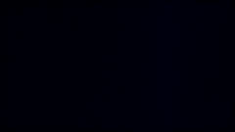 wildman3845 online show from February 9, 2025, 1:46 pm