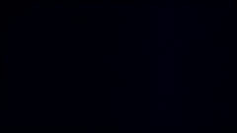 wildman3845 online show from March 2, 2025, 12:32 pm