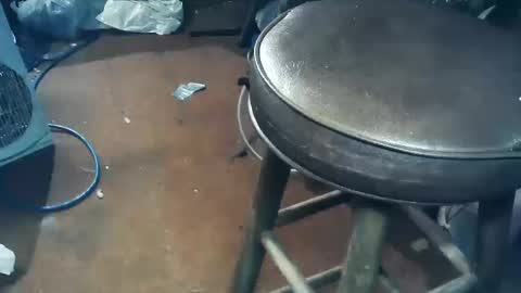 wildman6 online show from October 11, 2025, 5:44 pm