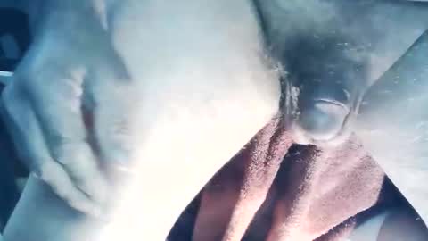 wildman6 online show from March 22, 2026, 6:55 pm