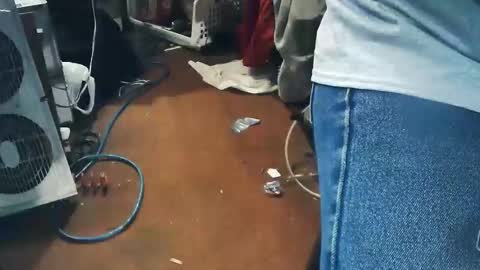 wildman6 online show from April 24, 2026, 7:49 pm