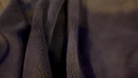 Snapshot of wiley0520 chatting on January 15, 2026, 9:03 am wiley0520 online show from January 15, 2026, 9:03 am