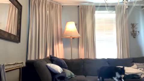 willbeatit online show from April 18, 2026, 5:28 pm