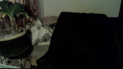 Snapshot of willingwillwet chatting on December 18, 2024, 3:11 pm Call me Babe online show from December 18, 2024, 3:11 pm