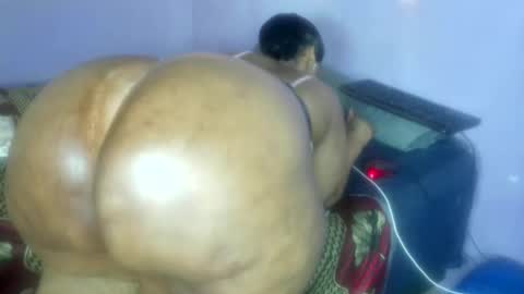 wilmaassylum online show from November 14, 2025, 7:51 am