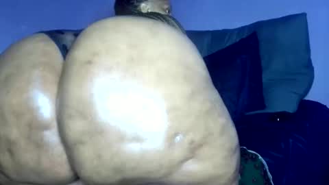 wilmaassylum online show from March 8, 2026, 6:28 am