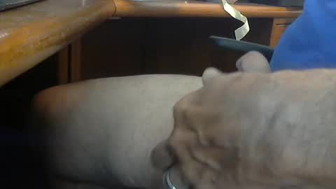 Wineman88886 online show from March 21, 2026, 5:05 pm