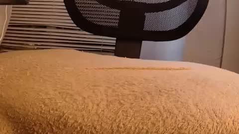 Mater online show from September 29, 2025, 8:30 am